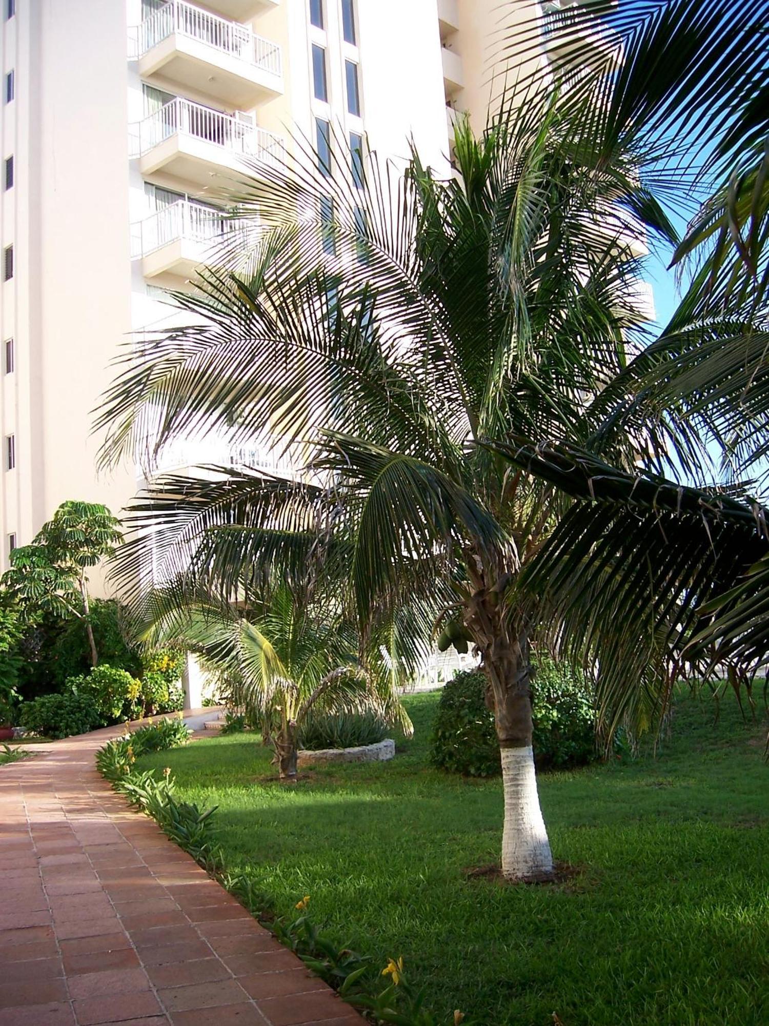 Salvia Cancun Aparts Zewnętrze zdjęcie